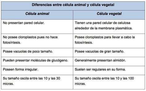 Mapa comparativo de opciones gastronómicas en Mataró
