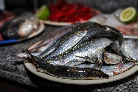 Pescado blanco y mariscos frescos listos para cocinar