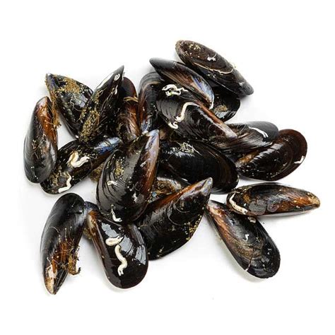 Mejillones frescos y limpios listos para cocinar