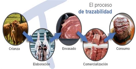 Proceso de trazabilidad de la carne