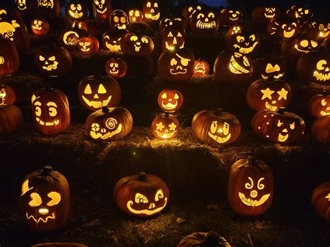 Evolución de Jack O'Lantern