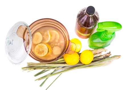Ingredientes naturales para eliminar olores del horno