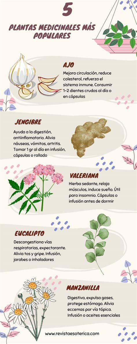 Infografía comparativa de plantas medicinales para el hígado