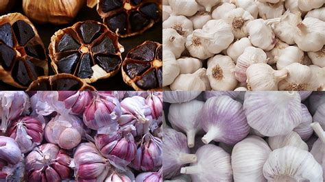 Diferentes variedades de ajo