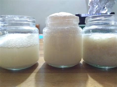 Levadura activándose con agua tibia y azúcar