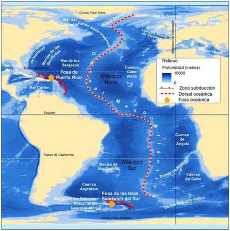 Desembarques de bacalao del Atlántico en el Atlántico occidental entre 1960 y 2019