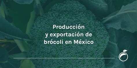 Mapa de producción de brócoli en España