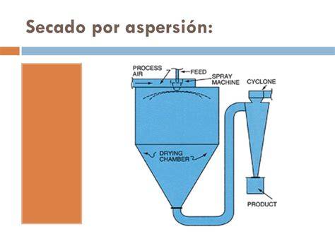 Interior de una cámara de secado por aspersión