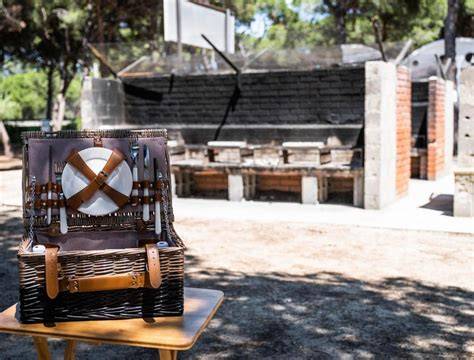 Área de picnic con barbacoas y mesas