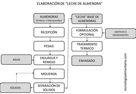 Proceso de elaboración de leche de almendras casera