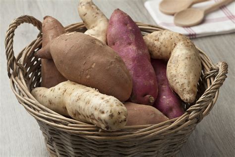 Variedades de boniato y batata