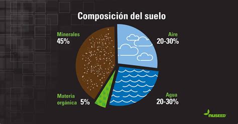 Composición del suelo ideal para el cultivo de tomates
