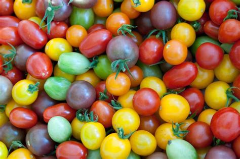 Comparativa de colores de tomates