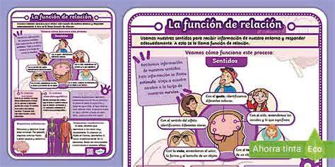 Esquema de la relación entre televisión y cine para adultos