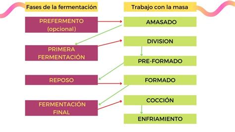 Esquema de las fases de elaboración de pan en panificadora