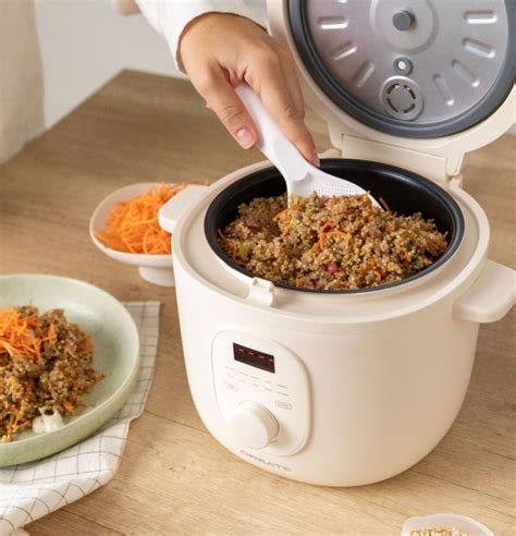 Alimentos que se pueden cocinar en una olla arrocera