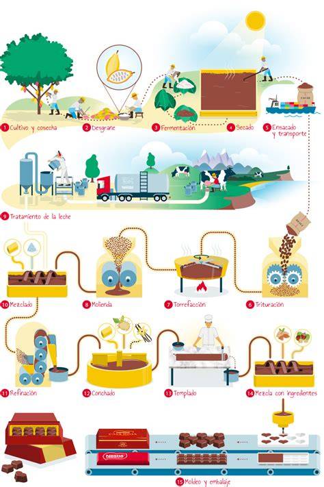 Esquema del proceso de fabricación de las galletas de la fortuna