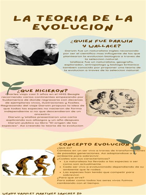 Infografía sobre la evolución de la salsa y sus subgéneros