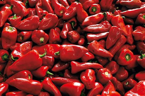 Puré de pimientos del piquillo en un cuenco