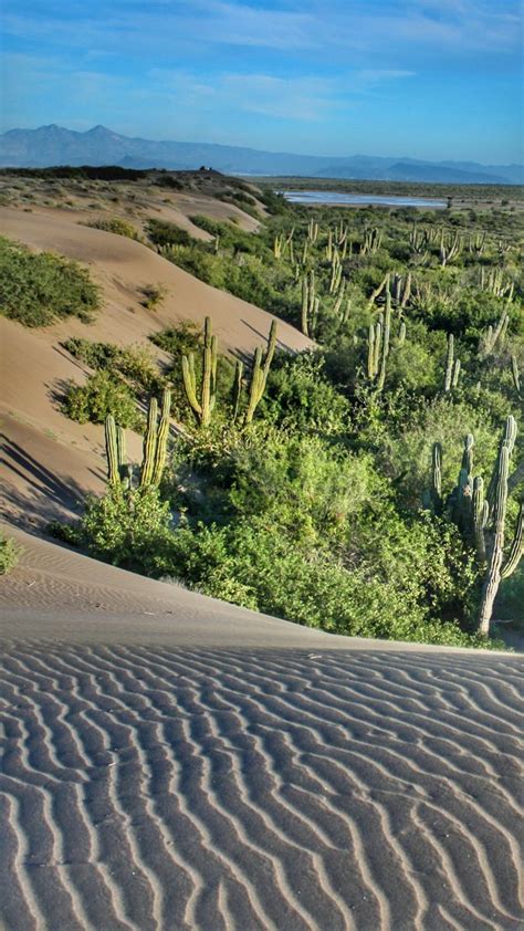 Paisaje de dunas en La Parrilla