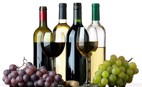 Botellas de vino Sirot en una bodega
