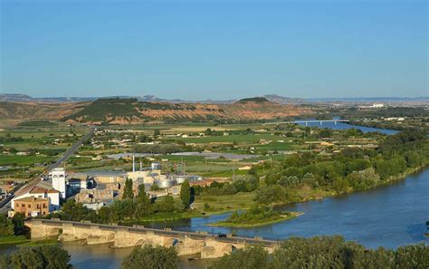Campo de cultivo en la Ribera de Navarra con espárragos, alcachofas y pimientos