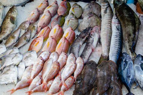 Pescado blanco fresco en un mercado