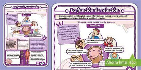 Infografía sobre la relación entre el tamaño de la pletina y la capacidad de carga