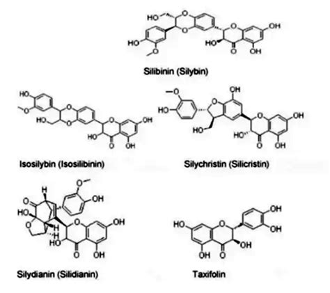 Estructura molecular de la silimarina