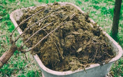 Compost mixto fermentado