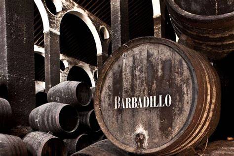bodega tradicional de Sanlúcar de Barrameda donde reposan las botas de vino