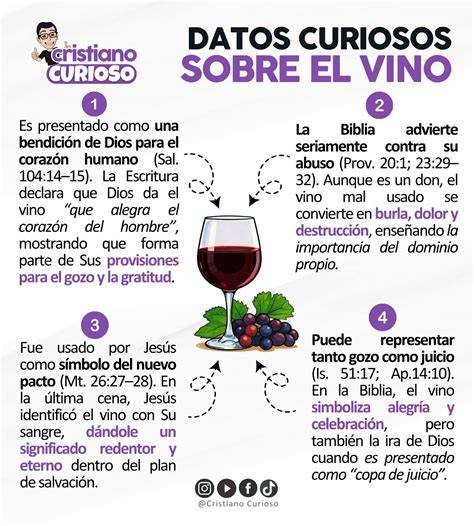 esquema del velo de flor sobre el vino en la bota