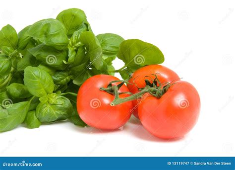 Tomates frescos y albahaca