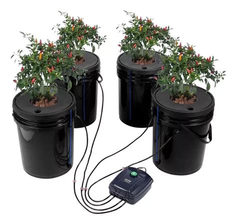 Sistema DWC para berenjenas