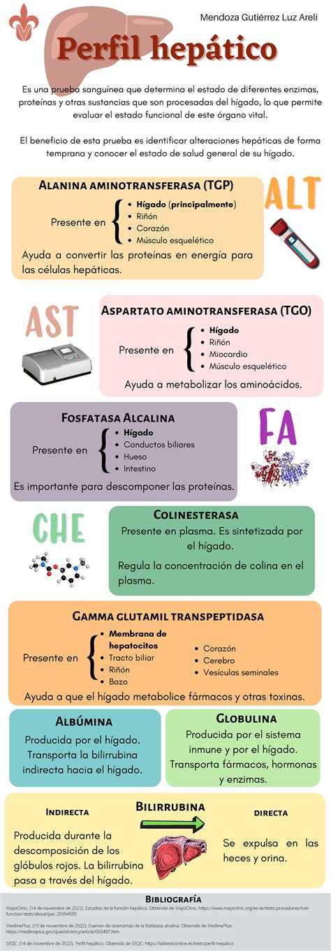 Infografía: Componentes de un suplemento hepático y sus funciones