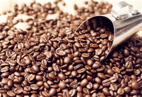 Grãos de café Arábica