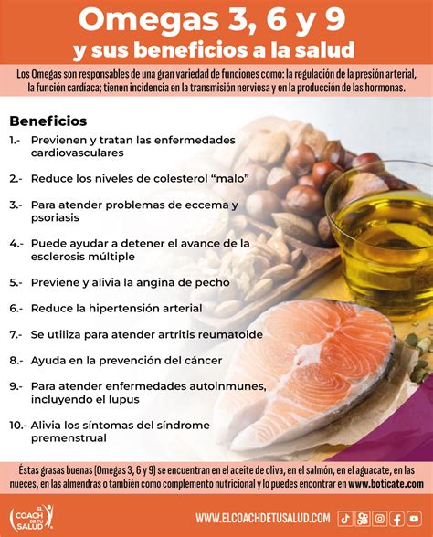 Diagrama de los beneficios del Omega-3 y Omega-6 para la piel y el pelo del perro