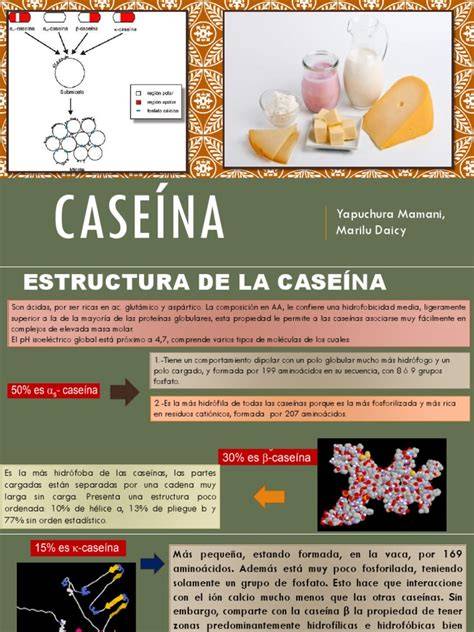 Esquema de la acción de la caseína sobre la capsaicina