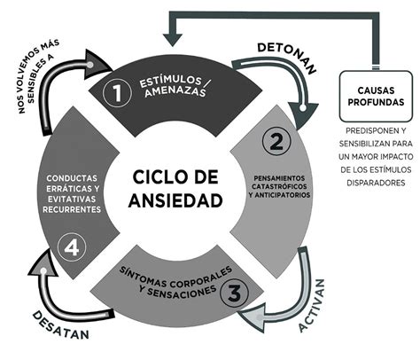 Infografía: Ciclo de ansiedad y fagofobia