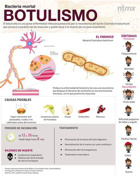 Esquema de la bacteria Clostridium botulinum