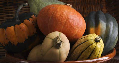 Calabaza de invierno preparada en platos variados