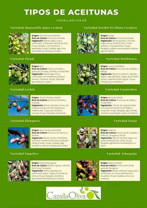 Tabla comparativa de peso de diferentes variedades de aceitunas
