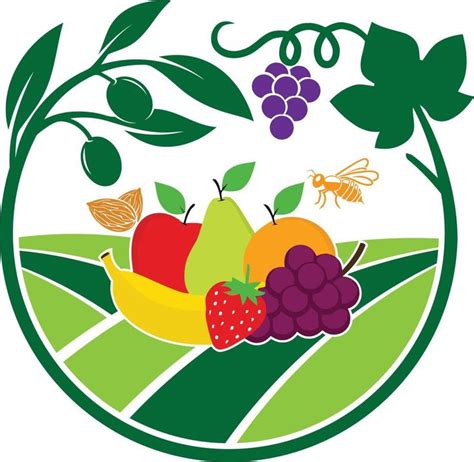 Logo de Frutas Ali SL
