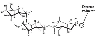 Estructura molecular de la goma guar
