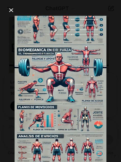 Infografía sobre principios de biomecánica en el entrenamiento