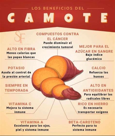 Infografía sobre los beneficios para la salud del boniato