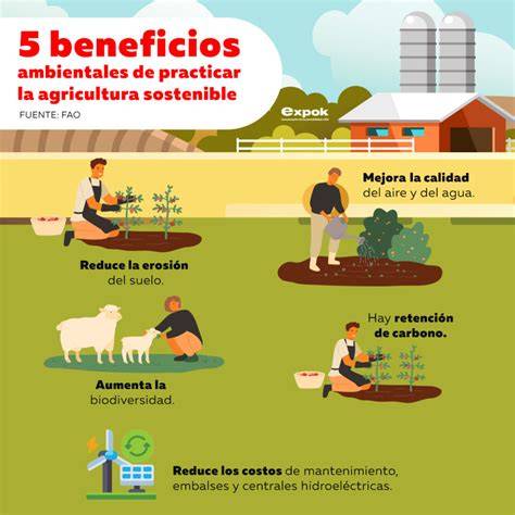 Infografía sobre los beneficios de los cultivos tradicionales y la agricultura ecológica.