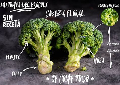 Comparativa de nutrientes entre brócoli frito y cocinado en air fryer