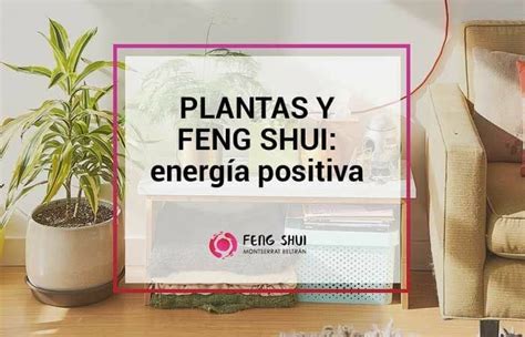 Ubicación de calabazas chinas según el Feng Shui