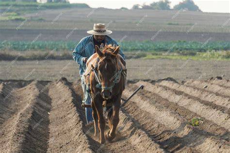 Agricultor arando la tierra con una azada